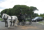 Horsedrawn hearse used for special funeral services